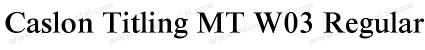 Caslon Titling MT W03 Regular字体转换